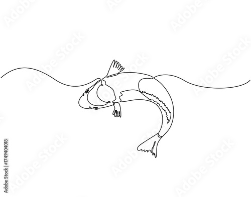Continuous line drawing of koi fish. Single line illustration of koi fish animal. Colorful fish animal concept. Editable outline