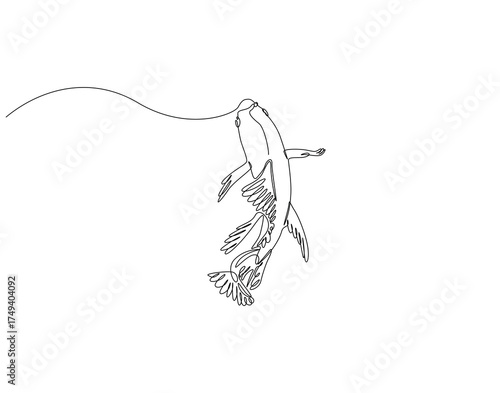 Continuous line drawing of koi fish. Single line illustration of koi fish animal. Colorful fish animal concept. Editable outline