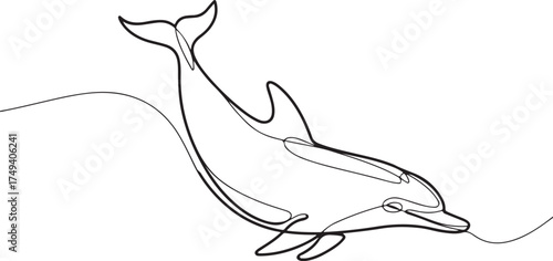 Whale and Dolphin One Line Drawing – Minimalist Continuous Line Art Vector Illustration