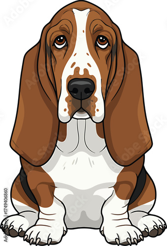 Basset Hound Vector Art of a Dog Breed Illustrations Collection with clipart