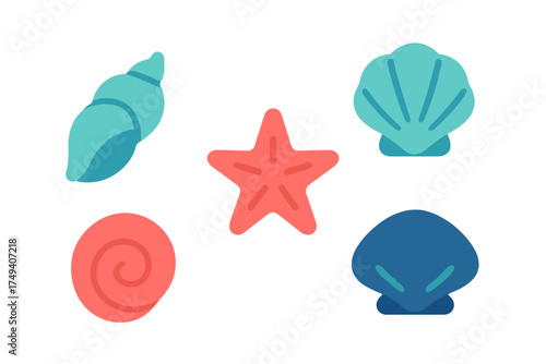 Colorful collection of sea shells and starfish representing ocean life and summer vacation