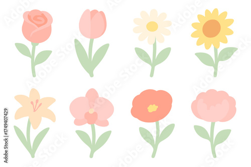 Adorable collection of eight different pastel blooming flowers on white background