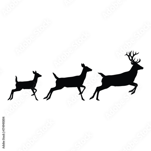 Silhouette of three deer running in formation a majestic stag leads two smaller deer in a graceful dynamic motion silhouette