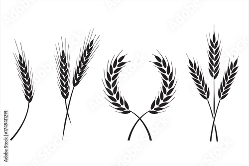 Agricultural wheat symbols for sustainable harvest and eco-friendly branding