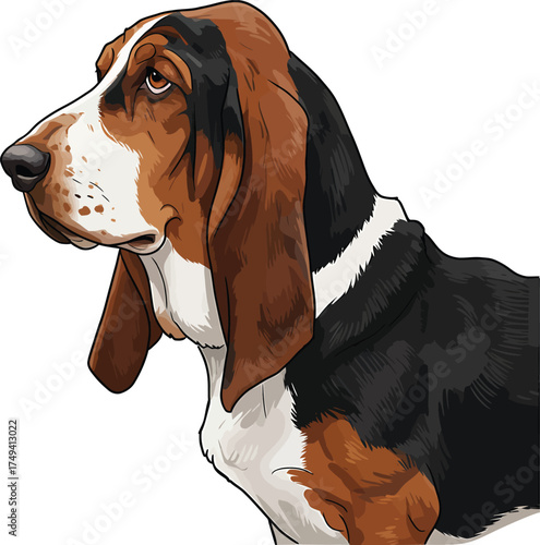 Basset Hound Vector Art of a Dog Breed Illustrations Collection with clipart