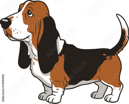 Basset Hound Vector Art of a Dog Breed Illustrations Collection with clipart