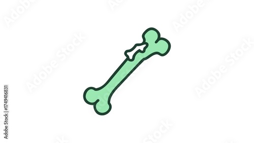 Simple bone illustration on white background in cartoon style