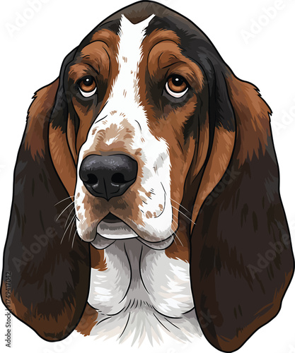 Basset Hound Vector Art of a Dog Breed Illustrations Collection with clipart