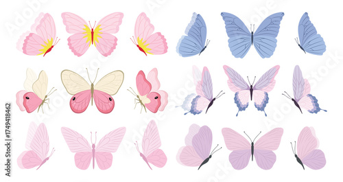 Butterfly collection. Colorful illustration. Butterflies clipart set. Baby shower design elements. Party invitation, birthday celebration. Spring, summer decoration. Pink yellow red wings