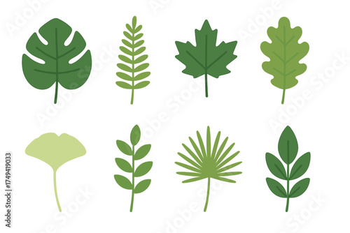 Stylized assortment of green leaves featuring tropical, deciduous, and palm varieties