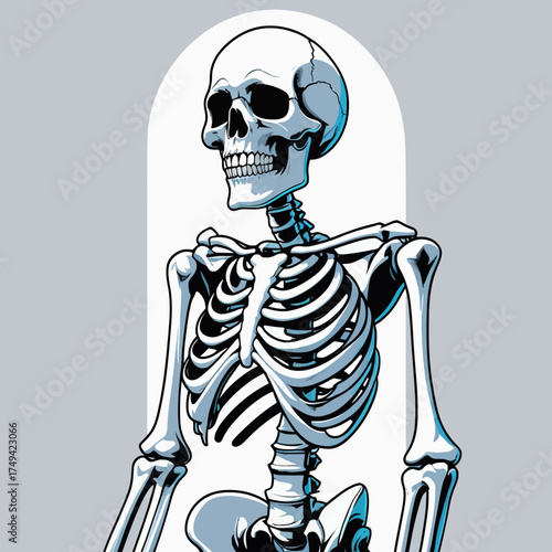 vector skeleton