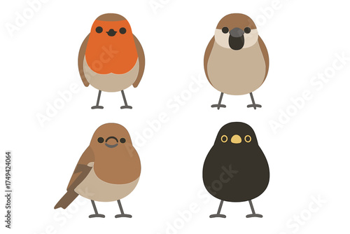 Four cute cartoon garden birds including robin sparrow and blackbird