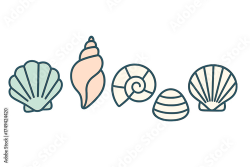 Stylized seashells and marine mollusk shells icons collection