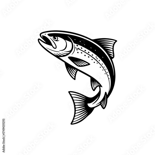 Illustration of a salmon isolated on white background. Design element for emblem, sign, poster, badge. Vector illustration