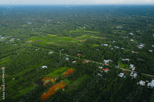 Wallpaper Mural Aerial view of a lush sedge field in Tra Vinh, Vietnam, surrounded by coconut trees. Farmers are harvesting and bundling sedge plants under warm sunlight. Torontodigital.ca