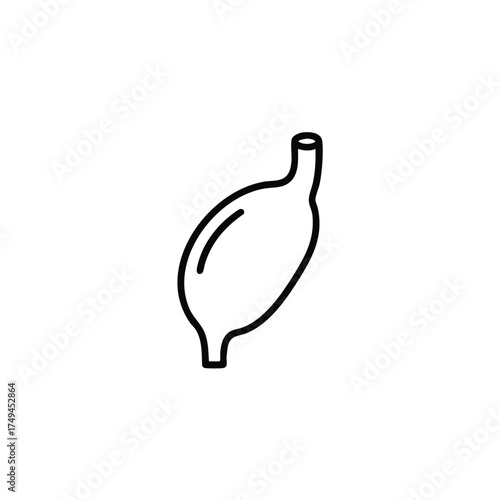 Minimalist stomach icon illustration for medical designs, educational content, health and wellness campaigns, or digestive health awareness projects