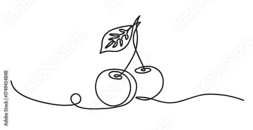 Fruit line art