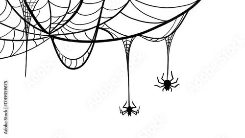 Spiderweb halloween png, transparent background