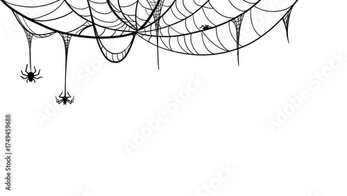 Spiderweb halloween png, transparent background