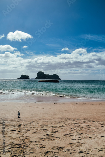 Fotografía del mar en la playa de Cathedral Cove en Coromandel, Nueva Zelanda.