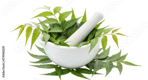 Bild auf Leinwand Isolated Mortar and pestle with neem leaves, natural remedy, medicinal plant, he