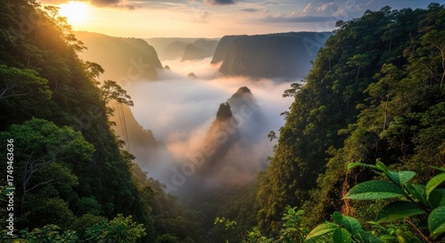 Misty Valley Sunrise: Verdant Cliffs and Golden Light in a Tropical Landscape