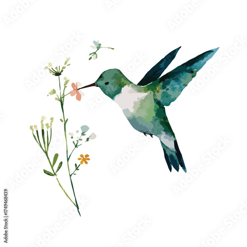 Vibrant Watercolor Hummingbird and Wildflowers Illustration.