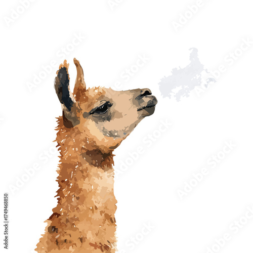 Spitting Llama Vector Illustration Funny Animal Character Design.