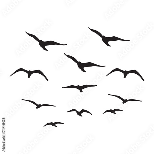 Minimalist Flying Seabirds Abstract Silhouette Banner.