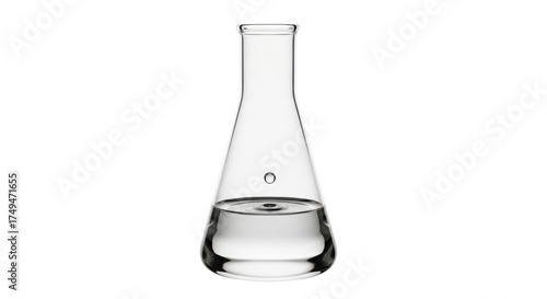 Tableau sur toile Isolated Erlenmeyer flask with liquid sample for experiment and research work in