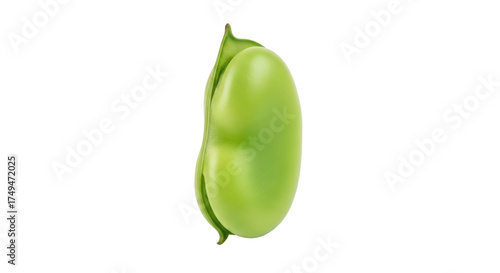 Bilde på lerret Isolated Broad Bean Pod, Fava Bean Green, Fabaceae, Garden Vegetable, Healthy Ve