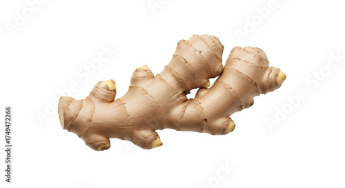 Isolated ginger root rhizome, fresh culinary ingredient spice, earthy and aromatic flavoring