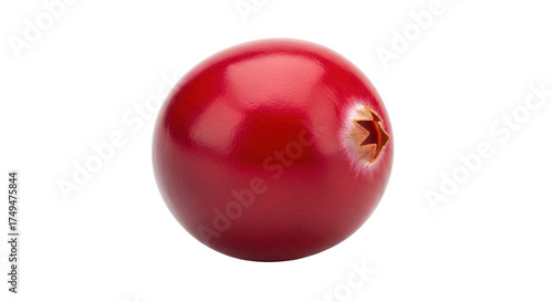 Obraz na plátně Isolated shiny red cranberry for festive cooking and holiday decoration, fruit s