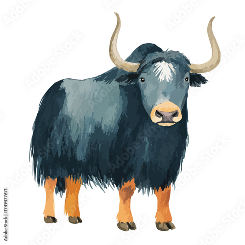 Majestic Yak Animal Illustration with Textured Fur.