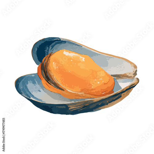 Delicious Open Mussel Shellfish Vector Illustration.
