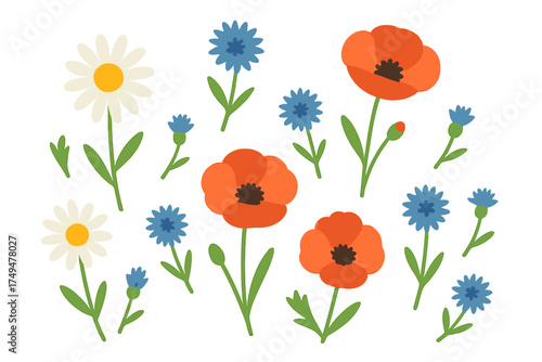 Assortment of stylized field flowers including poppies, daisies, and cornflowers