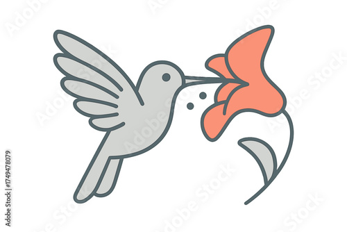 Stylized hummingbird hovering near tropical flower outline icon