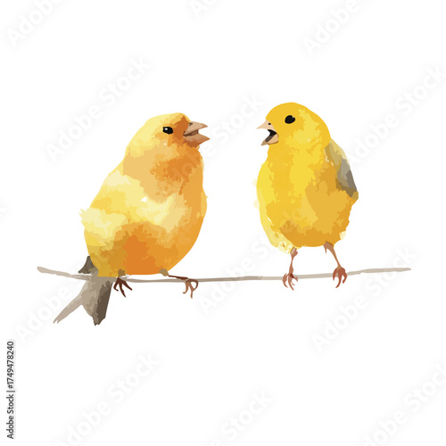 Vibrant Yellow Birds Singing Watercolor Illustration on Branch.
