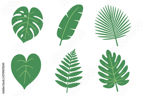 Exotic green tropical leaves collection featuring monstera, palm, and fern foliage shapes