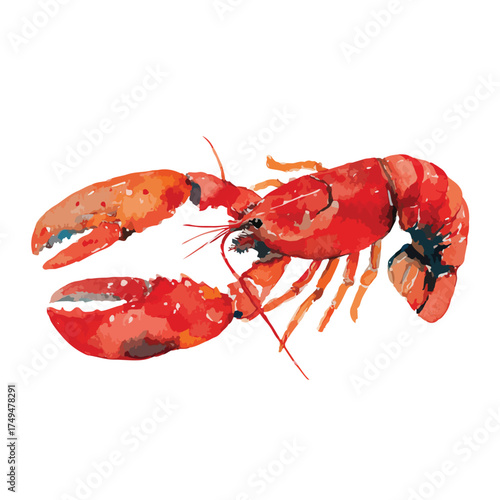 Vibrant Red Lobster Seafood Delicacy Illustration.