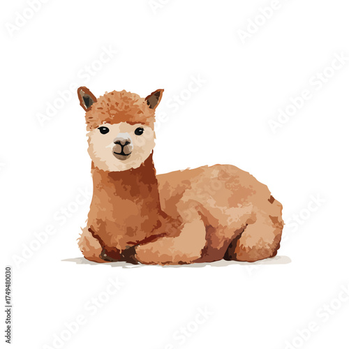 Cute Alpaca Illustration Lying Down Adorable Animal Vector Art.
