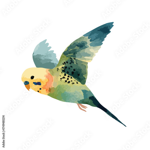 Vibrant Watercolor Flying Budgerigar Illustration.
