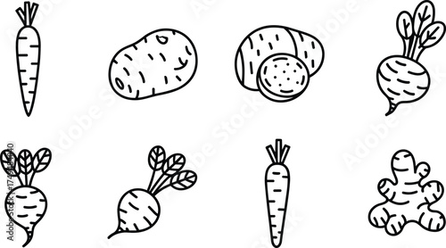 Black and white line art illustration of root vegetables including carrot, beet, potato, and ginger, minimalist organic food design