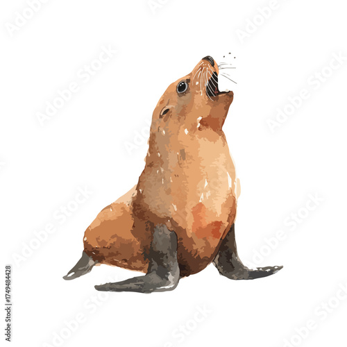 Watercolor Sea Lion Illustration Barking.