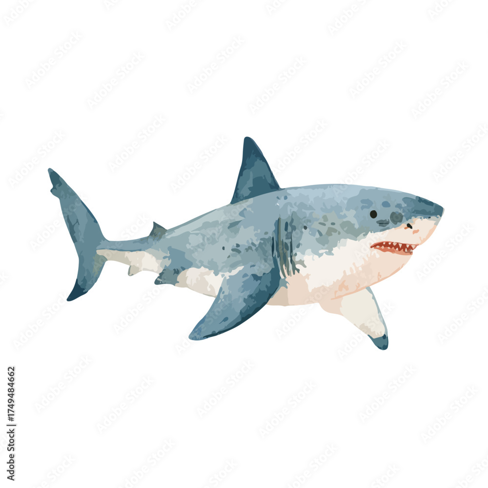 Fototapeta premium Powerful Great White Shark Swimming Vector Art.