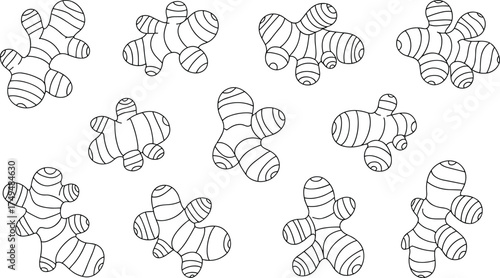 Detailed black and white ginger root illustration set, hand-drawn botanical sketch of fresh organic spice rhizome for cooking and herbal design