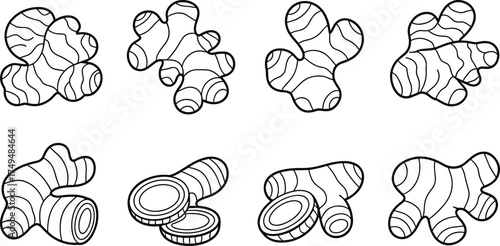 Detailed black and white ginger root illustration set, hand-drawn botanical sketch of fresh organic spice rhizome for cooking and herbal design