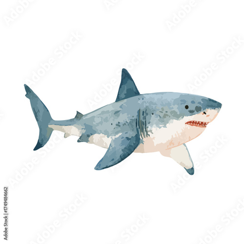 Powerful Great White Shark Swimming Vector Art.