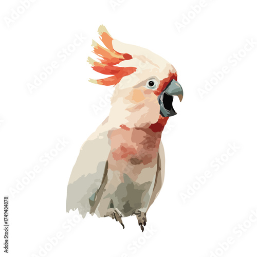 Vibrant Cockatoo Parrot Illustration with Open Beak.