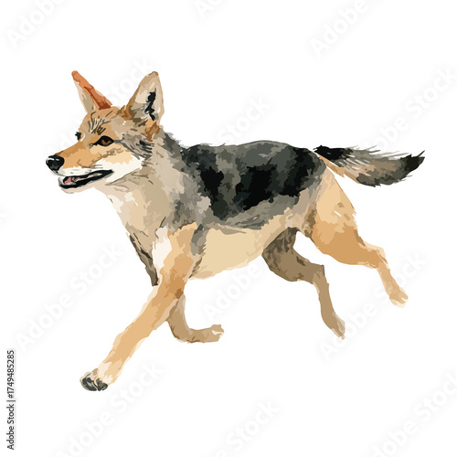 Running Jackal Vector Illustration - Wild Coyote in Motion Art.